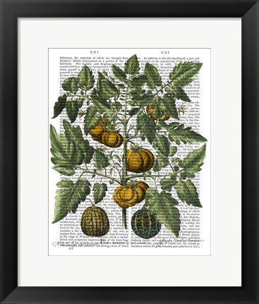 Framed Peppers 5 Print