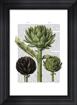 Framed Globe Artichoke Print 1 Print