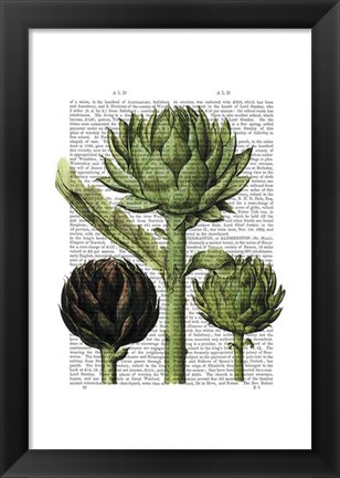 Framed Globe Artichoke Print 1 Print