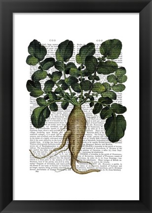 Framed Parsnip 1 Print