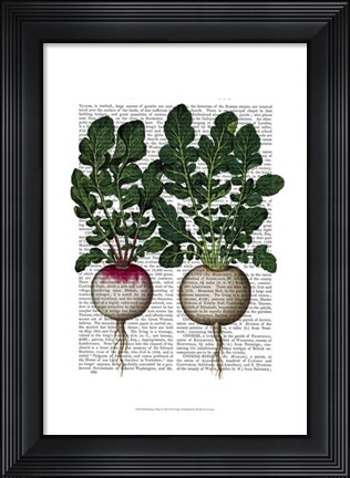 Framed Radishes Print Print