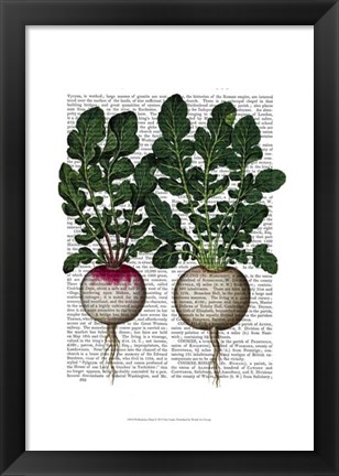 Framed Radishes Print Print