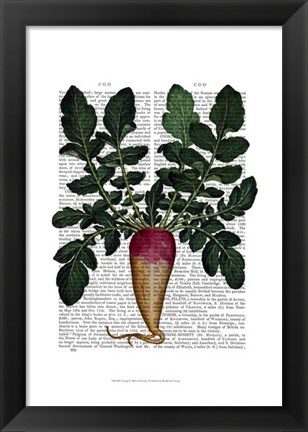 Framed Turnip Print