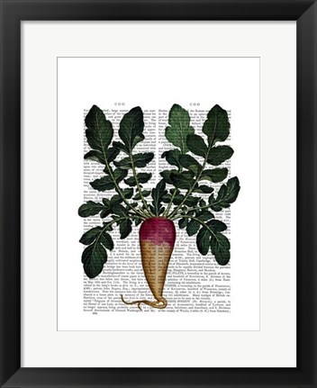 Framed Turnip Print