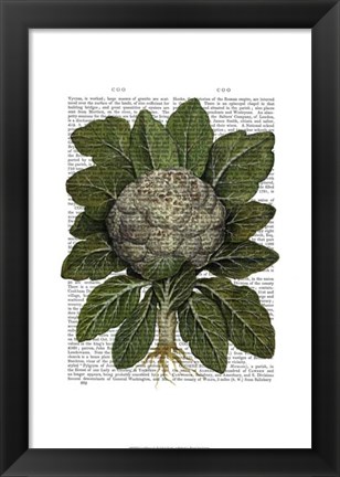 Framed Cauliflower Print