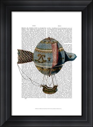 Framed Hot Air Balloon With Tail Feather Print
