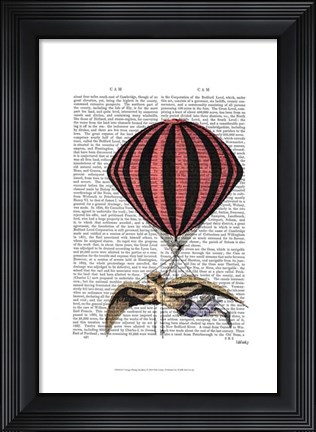 Framed Vintage Flying Machine Print