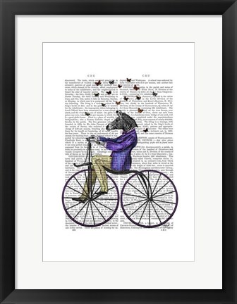 Framed Zebra On Bicycle Print