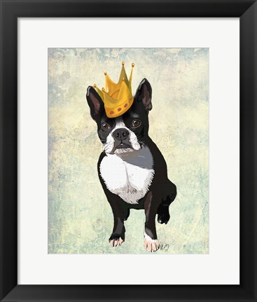 Framed Boston Terrier and Crown Print