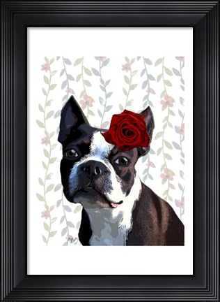 Framed Boston Terrier with Rose on Head Print