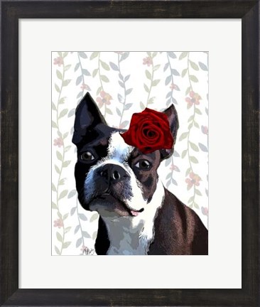 Framed Boston Terrier with Rose on Head Print