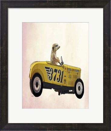 Framed Meerkat in Hot Rod Print
