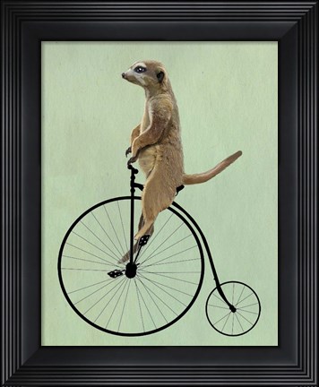 Framed Meerkat on Black Penny Farthing Print