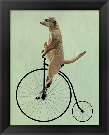 Framed Meerkat on Black Penny Farthing Print