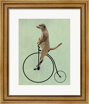 Framed Meerkat on Black Penny Farthing Print