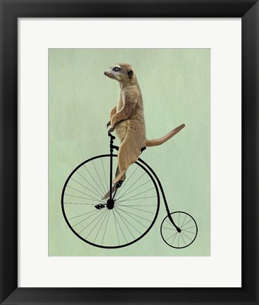 Framed Meerkat on Black Penny Farthing Print