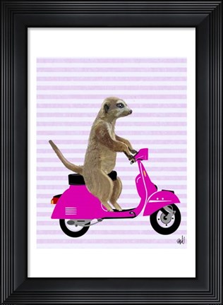 Framed Meerkat on Pink Moped Print
