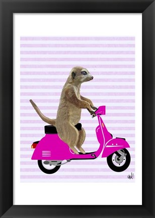 Framed Meerkat on Pink Moped Print