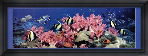 Framed Under the Sea Print