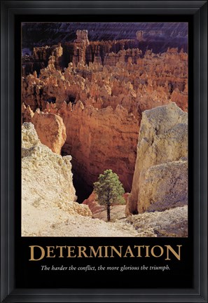 Framed Determination Print