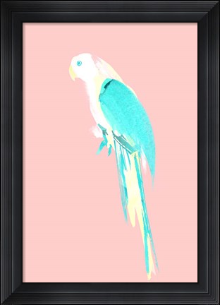 Framed Summer Parrot Print