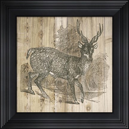 Framed Natural History Lodge III Print