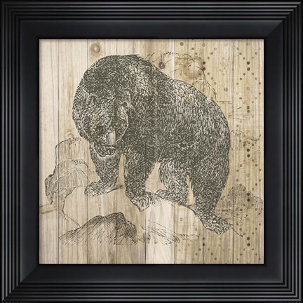 Framed Natural History Lodge IV Print