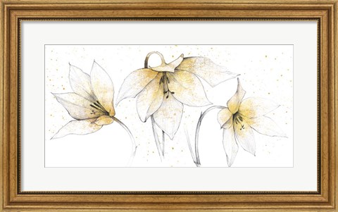Framed Gilded Graphite Floral Trio Print