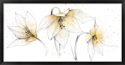 Framed Gilded Graphite Floral Trio Print