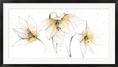 Framed Gilded Graphite Floral Trio Print