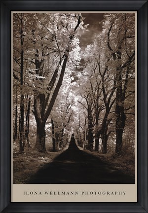 Framed Country Road II Print
