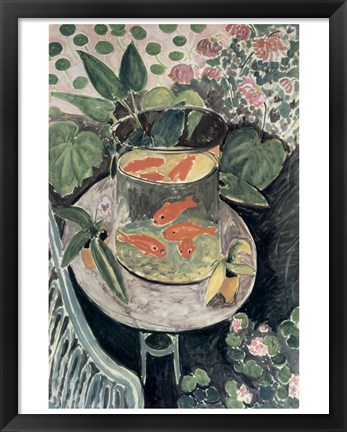 Framed Goldfish, 1912 Print