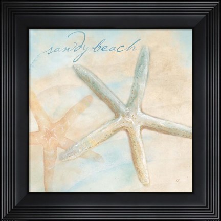 Framed Watercolor Shell Sentiments II Print