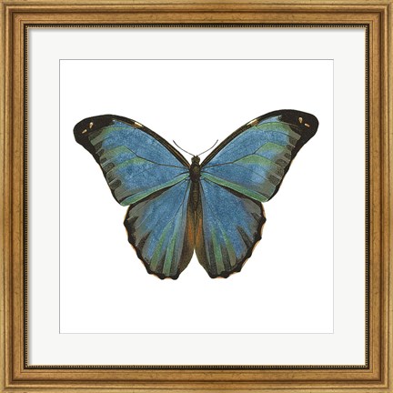 Framed Butterfly Botanical III Print