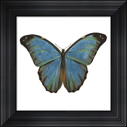 Framed Butterfly Botanical III Print