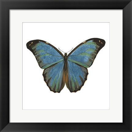 Framed Butterfly Botanical III Print