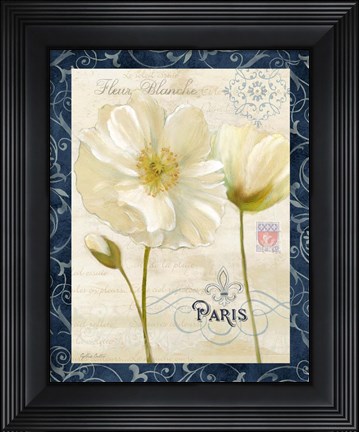 Framed Paris Poppies w/Navy Border II Print