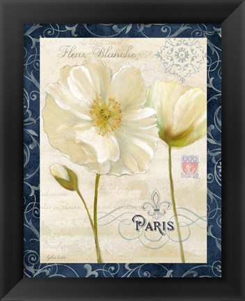 Framed Paris Poppies w/Navy Border II Print