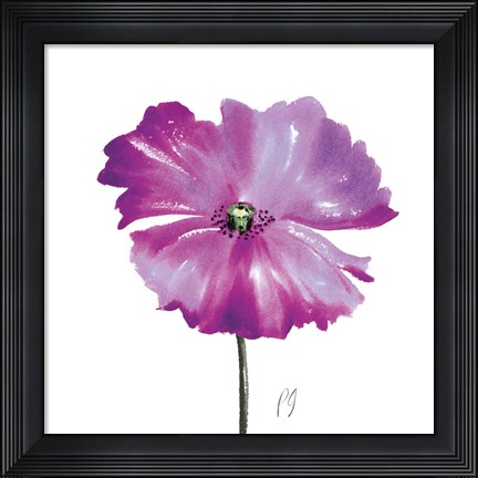 Framed Poppies Tempo III Print