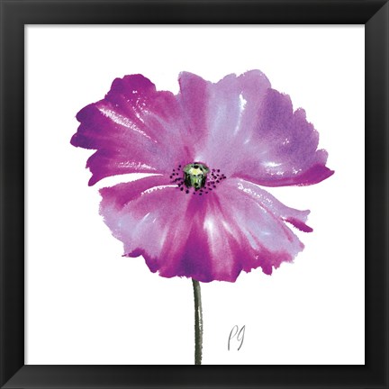 Framed Poppies Tempo III Print