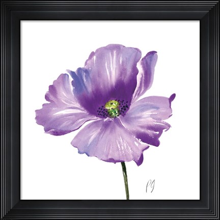 Framed Poppies Tempo IV Print