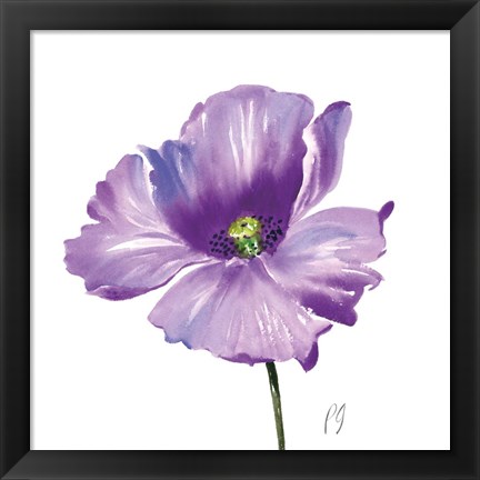 Framed Poppies Tempo IV Print