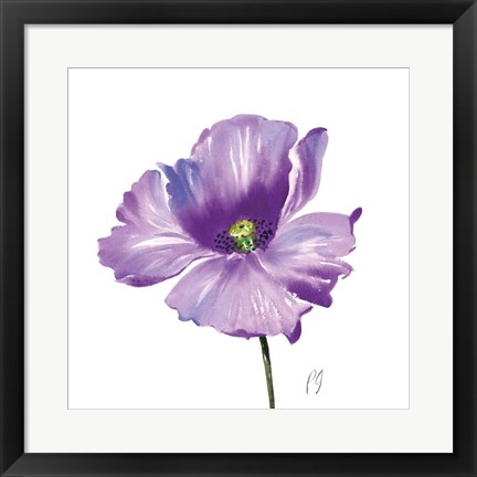 Framed Poppies Tempo IV Print