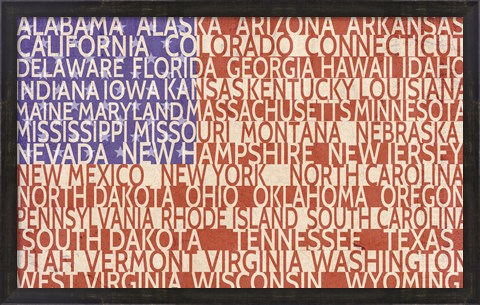 Framed US Flag Print
