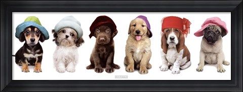 Framed Hat Hounds Print