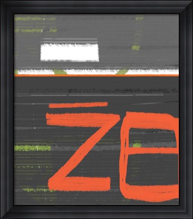 Framed Z8 Print