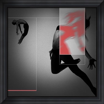 Framed Flight Print