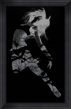 Framed Gliding Print