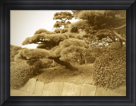 Framed Tokyo Park Print
