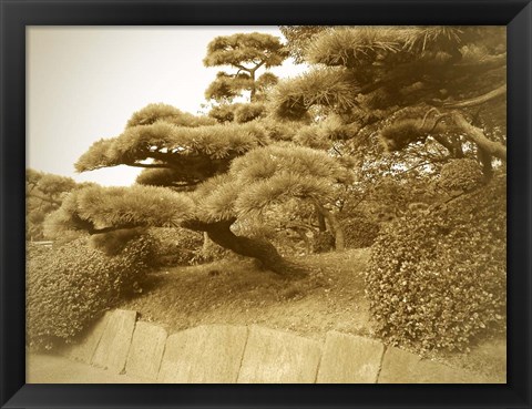 Framed Tokyo Park Print